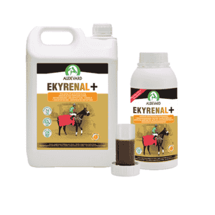 Ekyrenal Plus