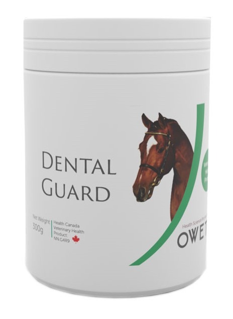 Dental Guard