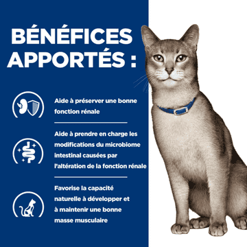 Feline k/d Kidney Care Tuna Stew - Boîte