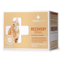 RECOVERY Renal Chat 3x90ml