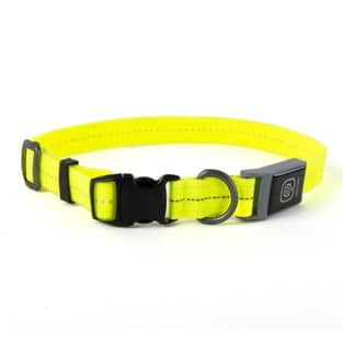 PVC Light-Collar