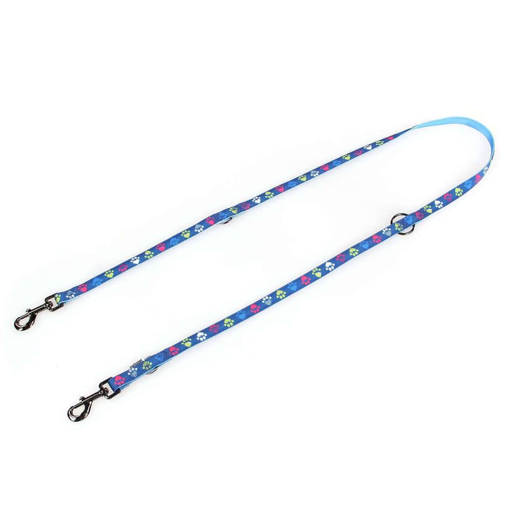 Führleine Paws & Love, blau