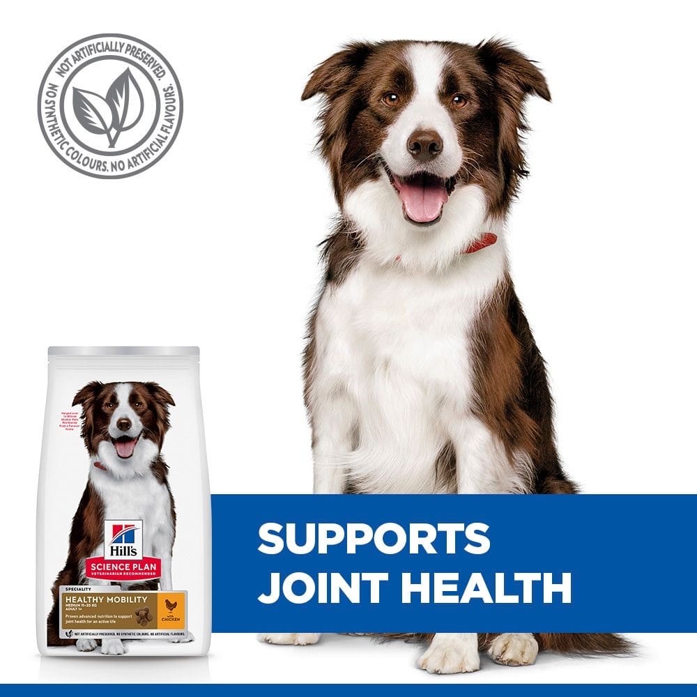 Canine Adult Healthy Mobility Medium Breed