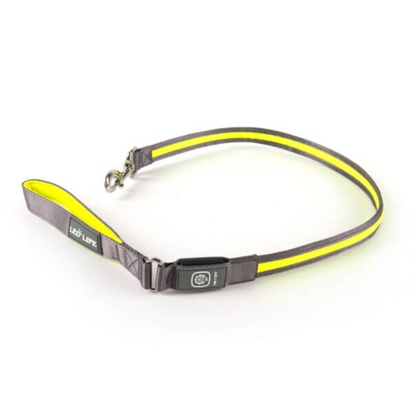 Light-Leash