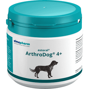 astoral ArthroDog 4+