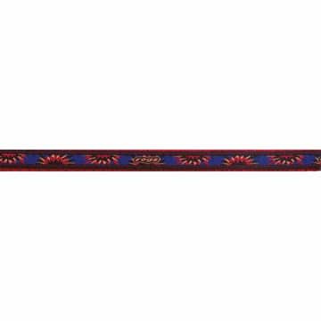 Dog leash Fancy Dress short