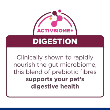 Kitten i/d Digestive Care Chicken
