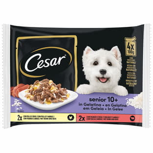 Senior 10+ sélection gelée