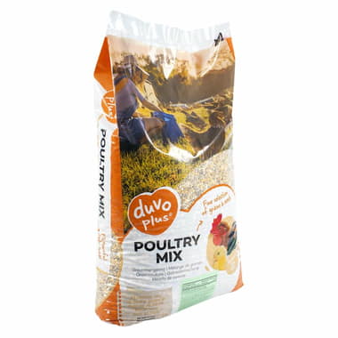 Poultry Mix Grain de ponte mix