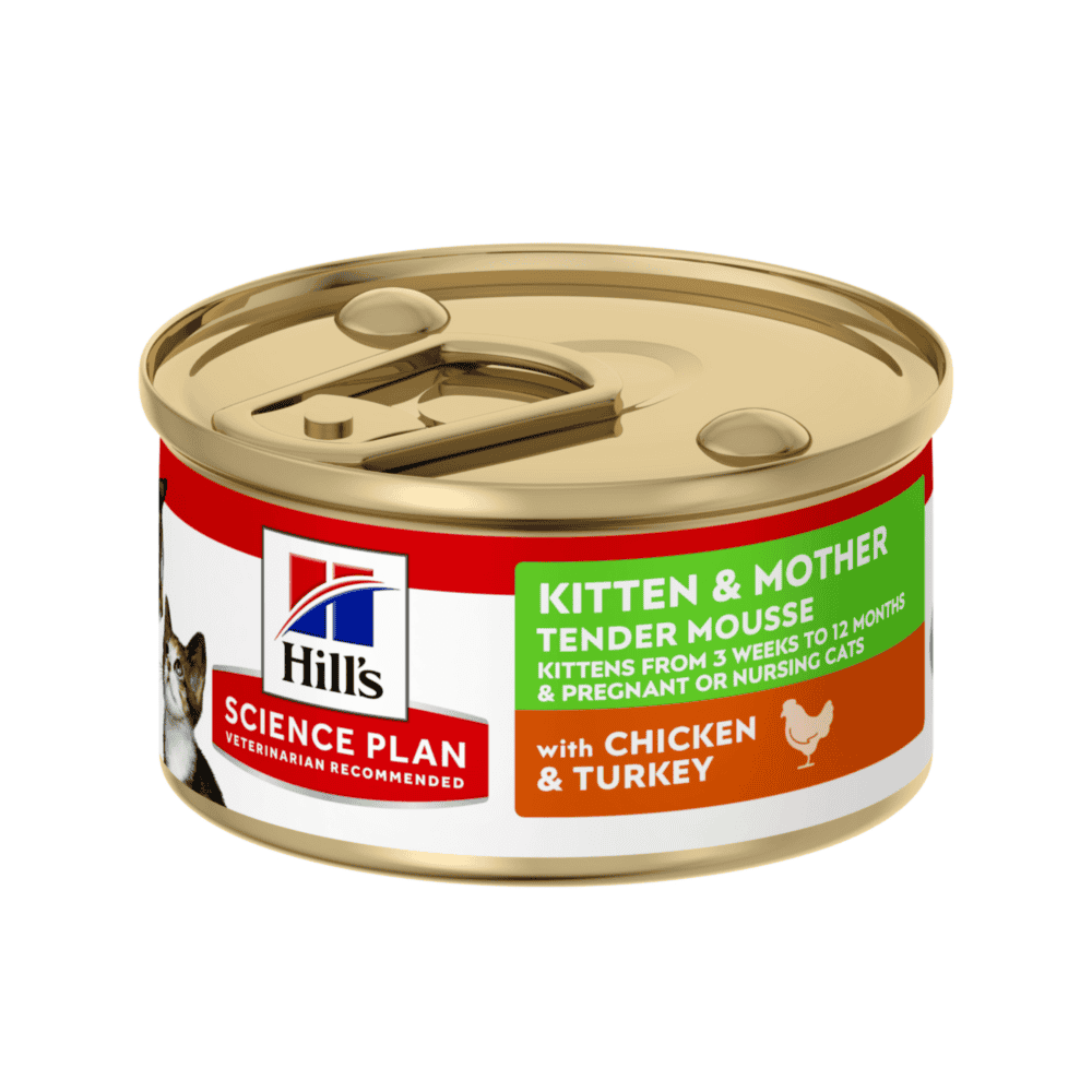 Kitten & Mother Tender Mousse