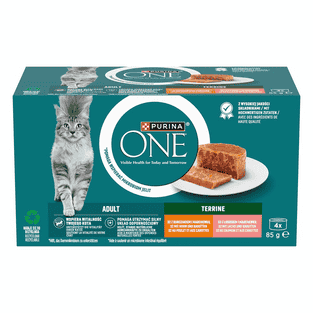 Terrine Adult Huhn & Karotten / Lachs & Karotten