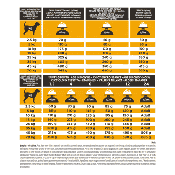 CANINE JM Joint Mobility