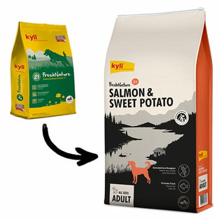 FreshNature Nr.21 Salmon & Sweet Potato