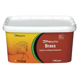 Brass