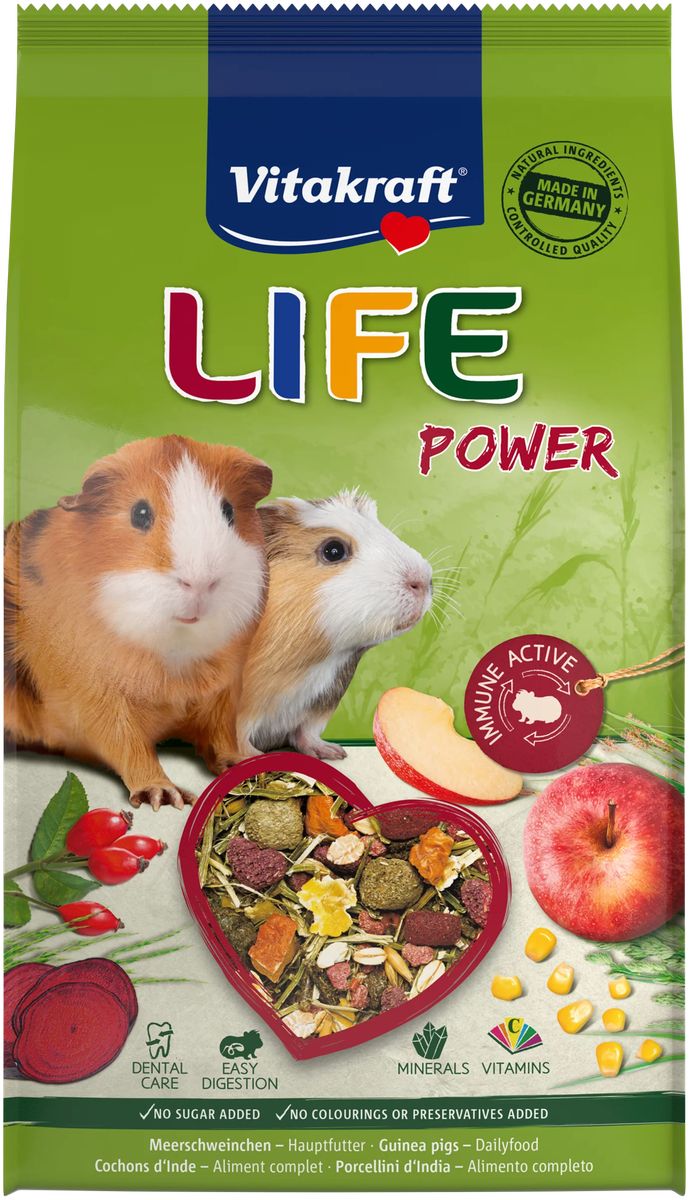 Rodent Life Power