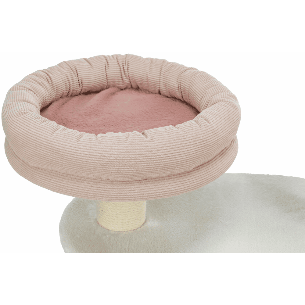 Isabella cat scratcher