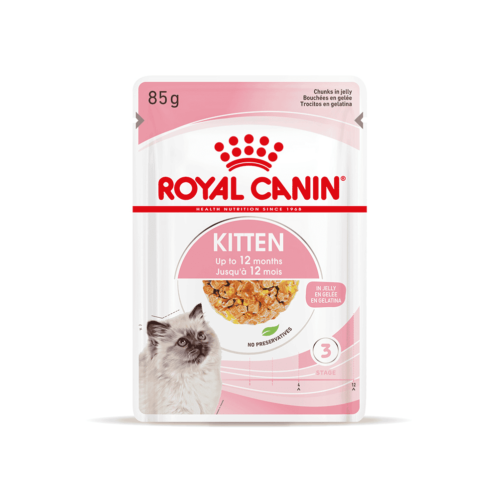 Kitten in Gelée - Frischebeutel