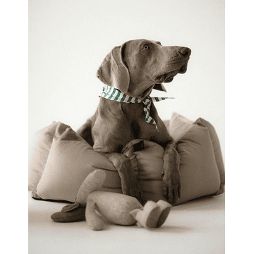 Lit pour chien Veludo Greige