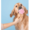 Crème glacée pour chiens