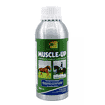Muscle-up