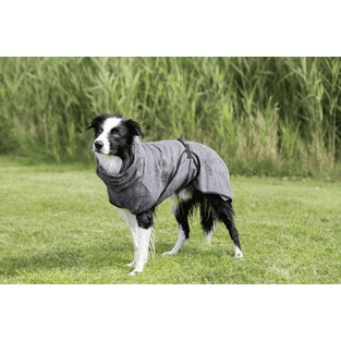Peignoir de bain pour chien, gris