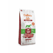 Life Adult Large Fresh Beef