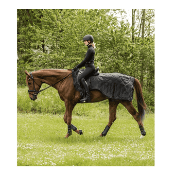 Nierendecke Exclusive black