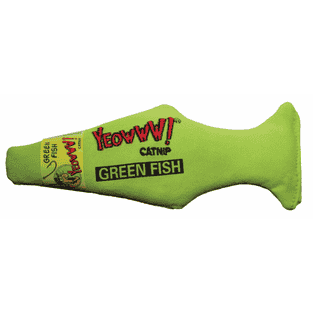 Green Fish mit Catnip