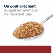 Canine i/d Digestive Care Turkey - Boîte