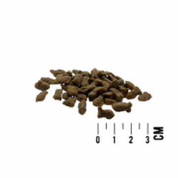 CAT Adult Lachs & Forelle