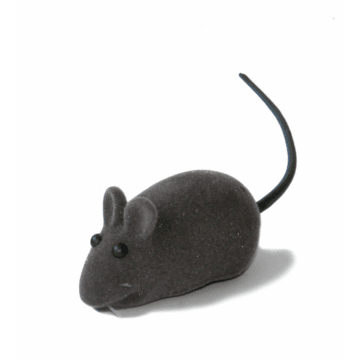 Jouet pour chats Squeeky-Maus