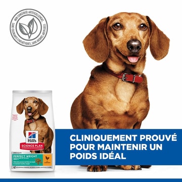 Canine Adult Perfect Weight Mini Breed