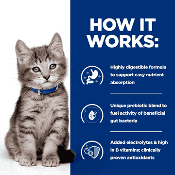 Kitten i/d Digestive Care Chicken
