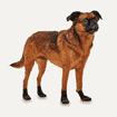 Dog Boots Hundeschuhe Lites Black