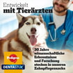 DentaStix large