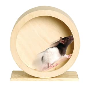 Roue de hamster Roundy