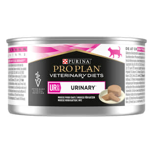 FELINE UR St/Ox Mousse