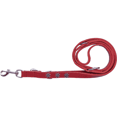 Laisse en cuir Edelweiss, rouge