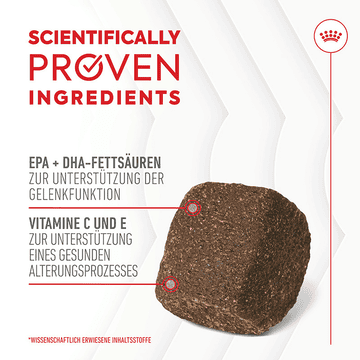 Joint &amp; Ageing Chews Adult Supplements