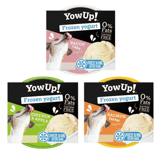 Dog Frozen Yogurt