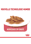 Indoor Cat 7+ en sachet