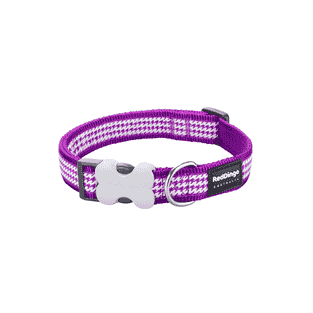 Collar design Fang it Purple