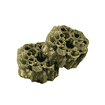 Dental Woofa Loofa