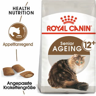 Ageing 12+