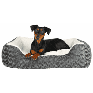 Kaline bed