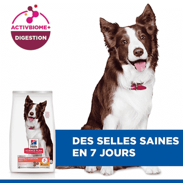 Canine Perfect Digestion Medium Breed