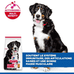 Canine Adult Large Breed Chicken