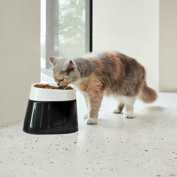 Ergo Cube Food Bowl
