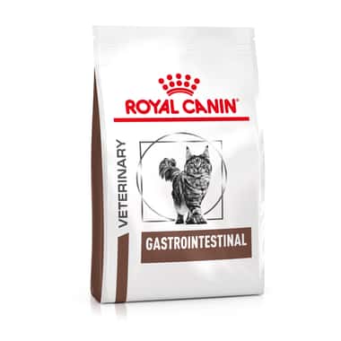Gastrointestinal Cat