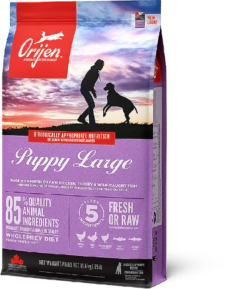 PUPPY LARGE Dog